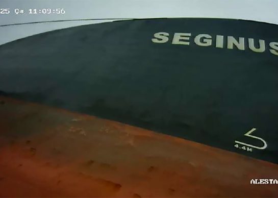 alesta-dalgiclik-pervane-parlatma-seginus