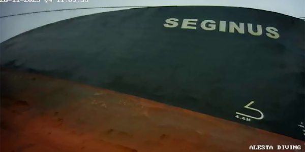 alesta-dalgiclik-pervane-parlatma-seginus