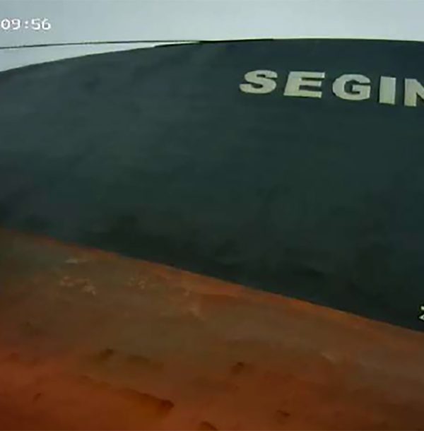 alesta-dalgiclik-pervane-parlatma-seginus