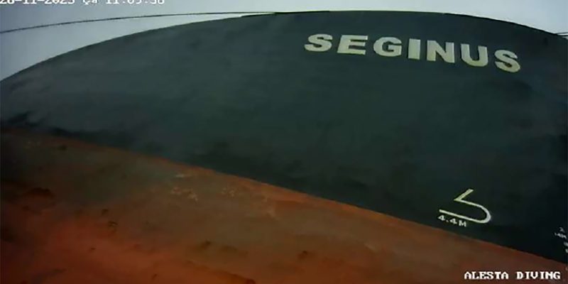 alesta-dalgiclik-pervane-parlatma-seginus