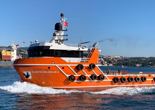 alesta-dalgiclik-alesta-dalgiclik-2-1