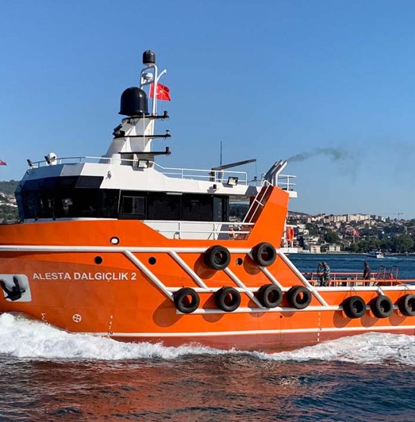 alesta-dalgiclik-alesta-dalgiclik-2-1