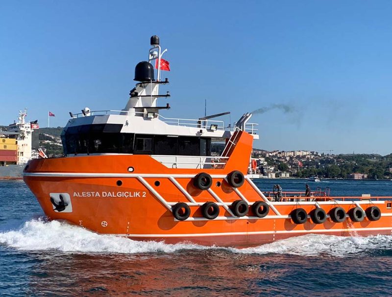 alesta-dalgiclik-alesta-dalgiclik-2-1