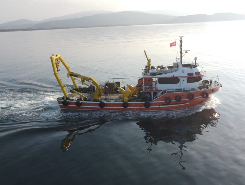 alesta-dalgiclik-alestadalgiclik