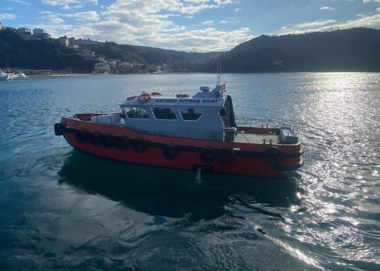 alesta-dalgiclik-kayzen