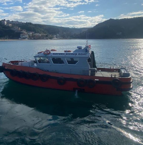 alesta-dalgiclik-kayzen