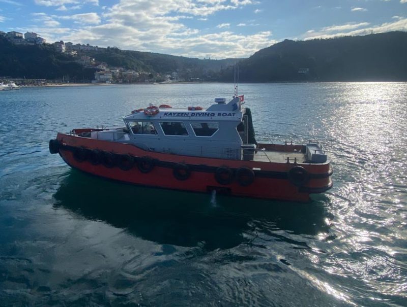 alesta-dalgiclik-kayzen