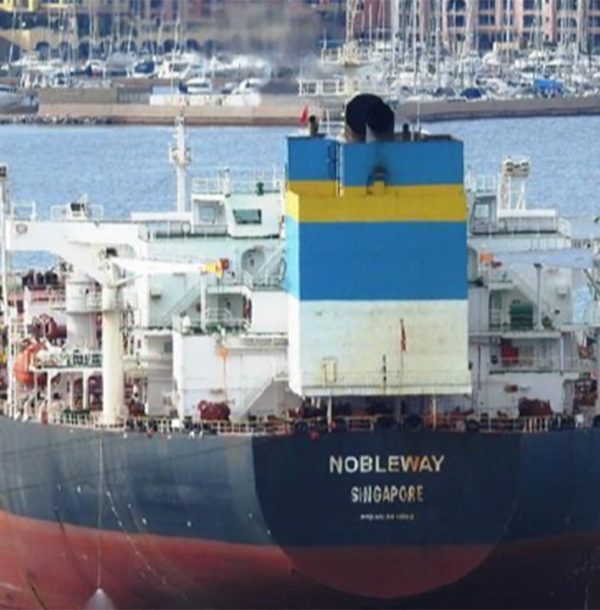 alesta-dalgiclik-valf-korleme-calismalari-nobleway